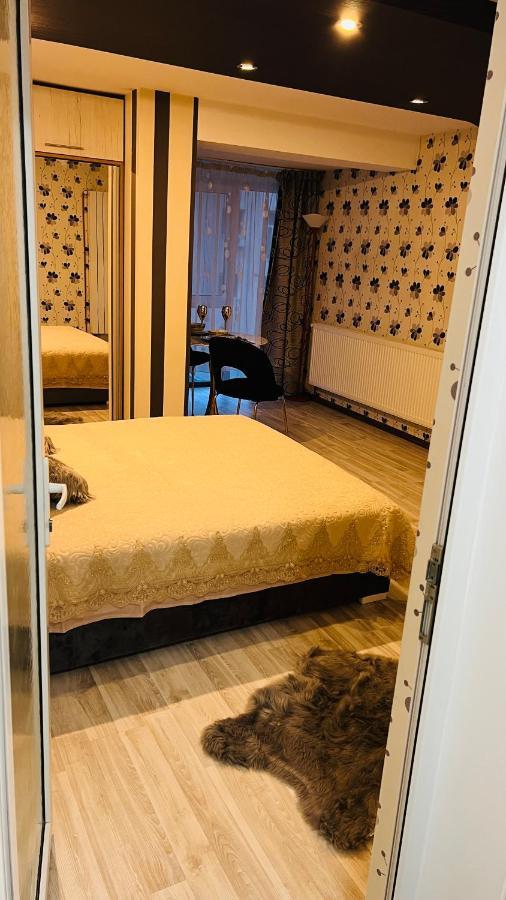 Appartement Garsoniera Centru Pietonal à Târgu Jiu Extérieur photo