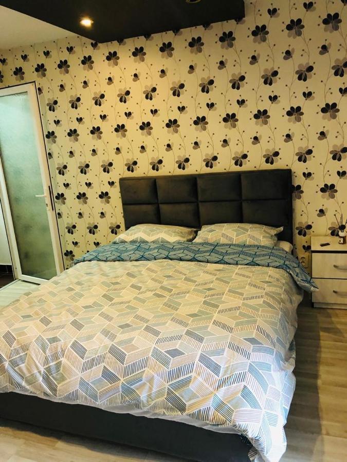 Appartement Garsoniera Centru Pietonal à Târgu Jiu Extérieur photo